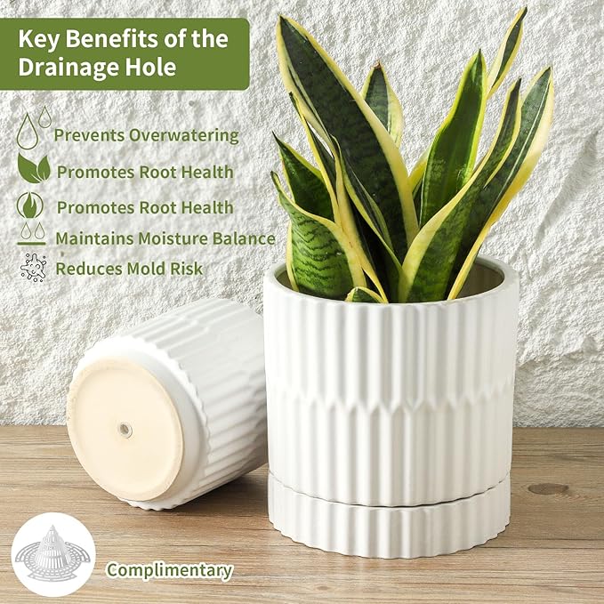 HASENSE Ceramic Plant Pots, 3-Pack (8/6/4.6 inch) Indoor Flower Planters with Vertical Ribbed Design, Drainage Holes & Saucers, Medium Cylinder Pots for Outdoor Plants, Modern White