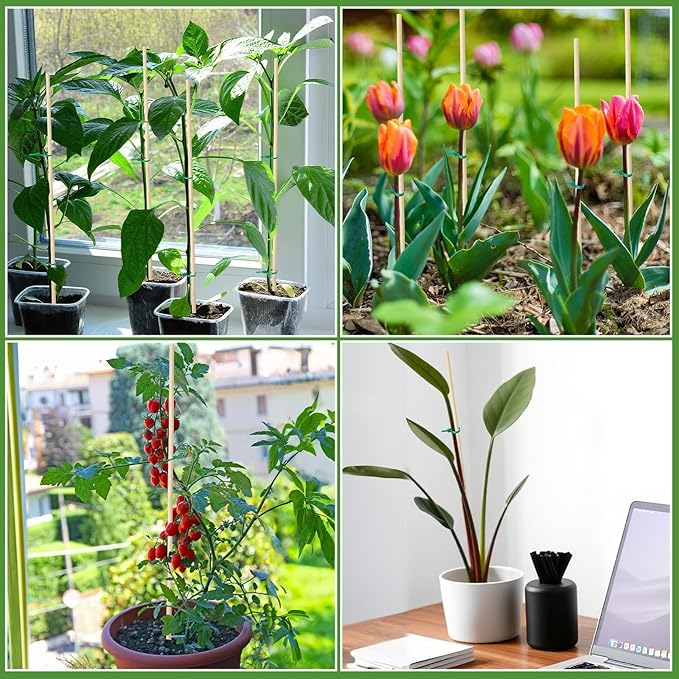 AUGSHY Plant Stakes 18 Inch, 64 PCS Natural Bamboo Garden Stakes for Plants and Plant Support Stakes for Indoor Outdoor Plants Tomato Vegetable Beans Potted Climbing Plants