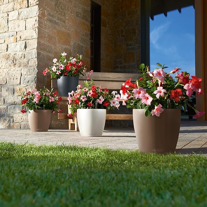 Lechuza Classico Color 21 White, Self-Watering Small Round Planter, D8.3 H7.9 in