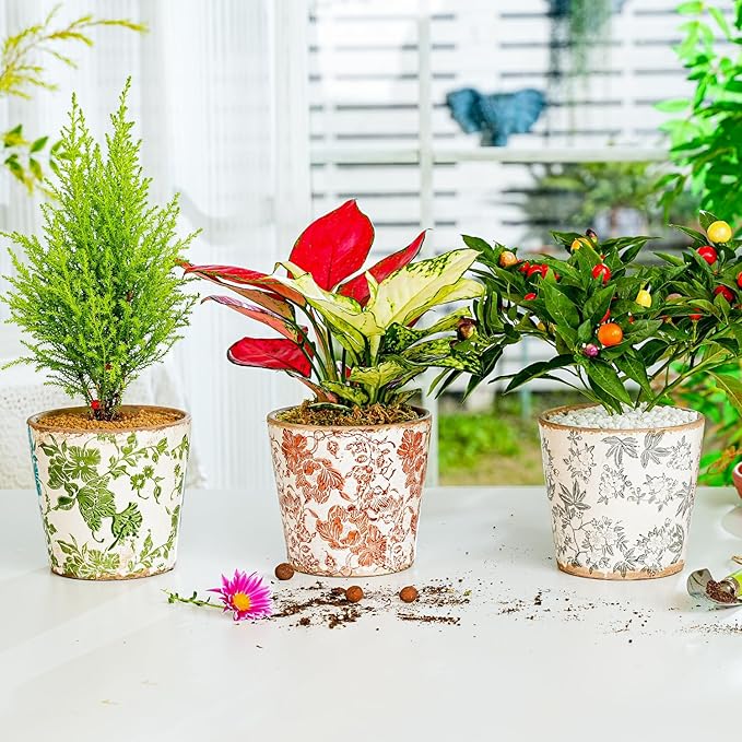 Sungmor Vintage Ceramic Planter Set of 3 - Decorative Indoor & Outdoor Flower Pots with Drainage Holes - Tuscan Décor Pots, 5.5" Ice Crackle Glaze Planters for Home, Kitchen, Patio, and Garden
