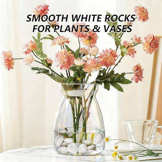 5LB White River Rocks, High Polished 1–2 inch Decorative Pebbles for Indoor Plants, Aquarium & Fish Tank Rocks, Garden Landscaping Stones, Vase Fillers, Lava Rocks for Plants & Pathway Decor