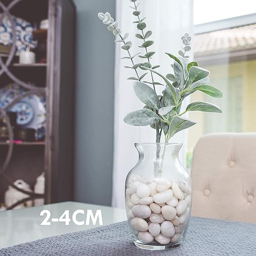 5 lbs Approx. 130 White River Rocks Stones for Plants Pebbles for Indoor Plants | Aquarium Fish Tank Rocks | Polished Decorative Rocks for Vases (0.8-1.6 Inches)
