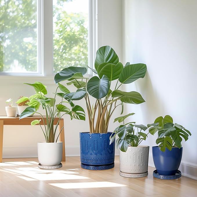 Plant Tray for Pots - Ceramic Plant Saucer for Indoors Outdoors 7.5 Inch Plant Water Catcher Tray Plant Drainage Dray Decorative Flower Pot Saucer Plant Plates to Catch Water White