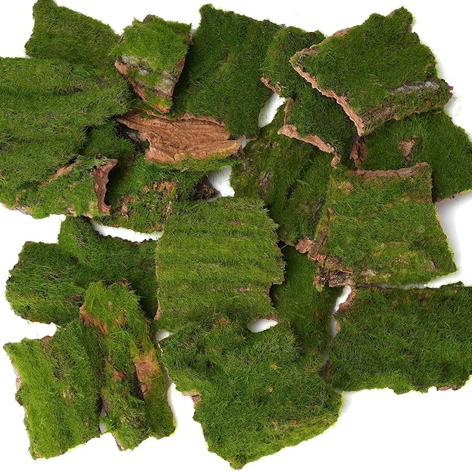 BYHER Assorted Artificial Moss Bark, Decorative Mossy Tree Bark for DIY Crafts, Fairy Gardens, Terrariums, Floral Arrangements (Realistic Green - 100gr)