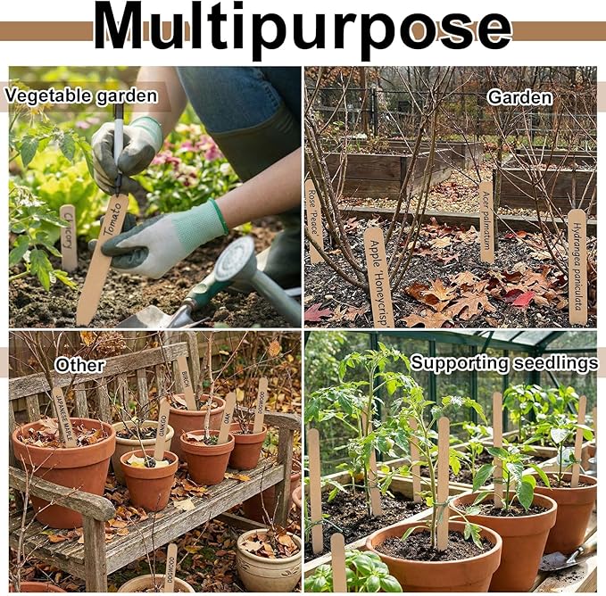 Weysat 200 Pcs 12" Wood Plant Labels for Field or Containers Plant Tags Wood Garden Labels for Seedling Stakes Markers Nursery Seed Tags with Smooth Surface for Pot Herbs Flowers Vegetables (Natural)