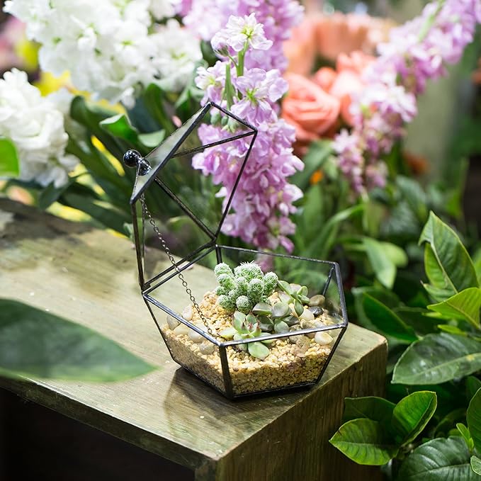 NCYP Small Glass Geometric Terrarium, Closed Jewel-Boxed Shape Container, Plant Succulent Planter, Indoor Outdoor Garden Decor Flower Pot Handmade (Terrarium Only)