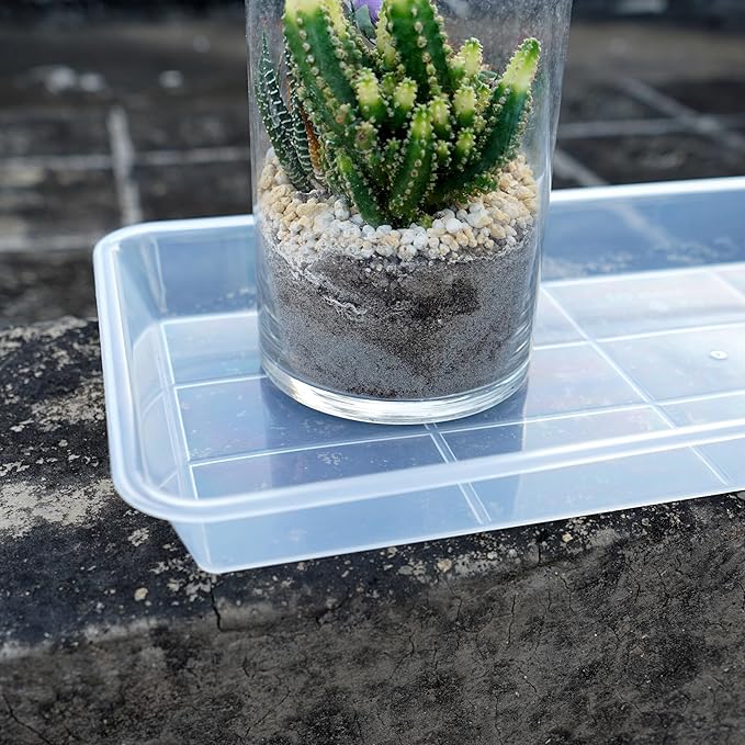2 Pack Plastic Plant Saucer, Rectangular, Indoors Outdoor, Water Drip Tray for Flower Pot, Windowsill (5.5 x 10 Inch, Clear)