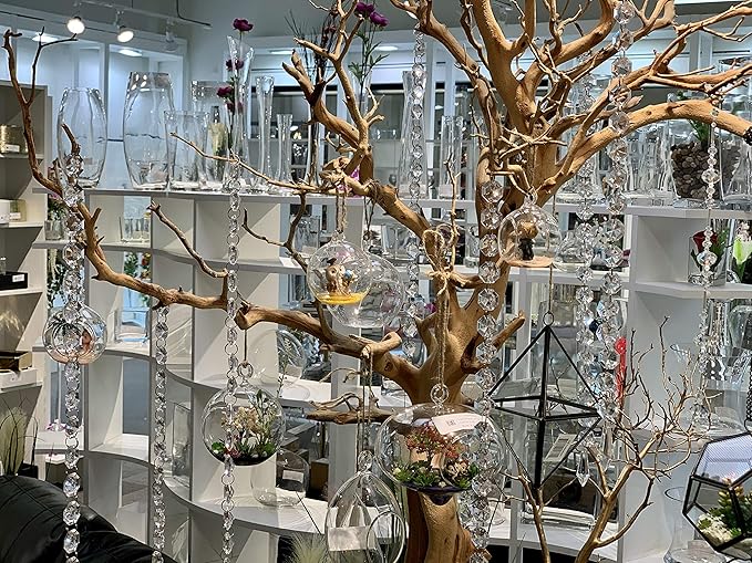 WGV Hanging Terrarium Globe, Width 5", Height 6", DIY Air Succulent Planter, Clear Glass Vase Orb with Flat Bottom, Candle Holder for Windowsill Outdoor Garden Decor, 6 Pieces Bulk