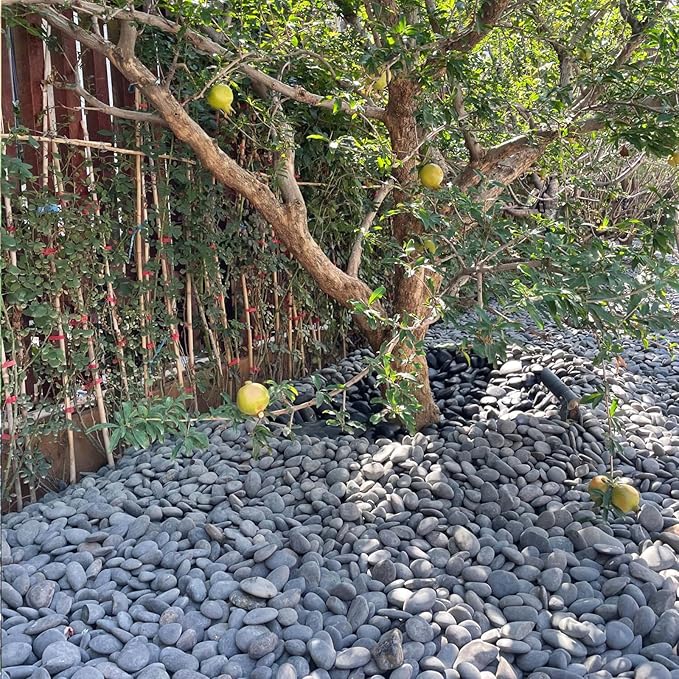 20 lbs Natural Unpolished Black Rocks Mexican Beach Pebbles, 3-4 Inch Decorative Black River Rocks for Landscaping, Planters, Garden Paving, Walkways, Plant Rocks and Outdoor Decorayive Rocks