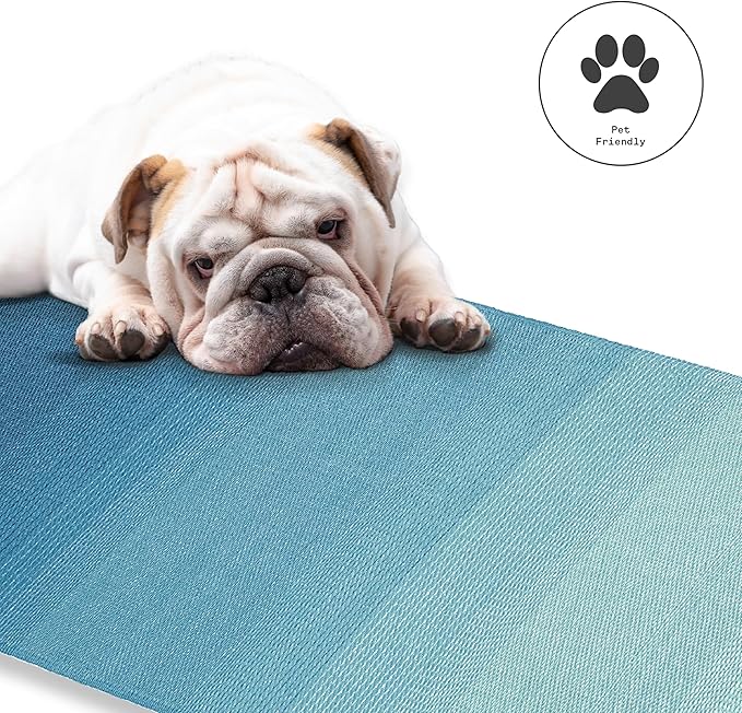 Fab Habitat Outdoor Rug - Waterproof, Fade Resistant, Crease-Free - Premium Recycled Plastic - Ombre - Large Patio, Deck, Sunroom, Camping, RV - Big Sur - Teal - 6 x 9 ft