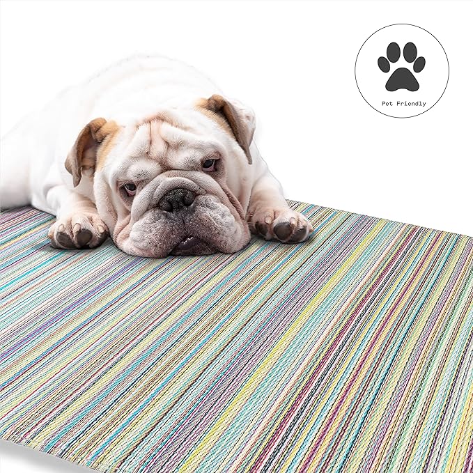 Fab Habitat Outdoor Rug - Waterproof, Fade Resistant, Crease-Free - Premium Recycled Plastic - Striped - Patio, Deck, Porch, Balcony, Laundry Room - Cancun - Candy - 4 x 6 ft