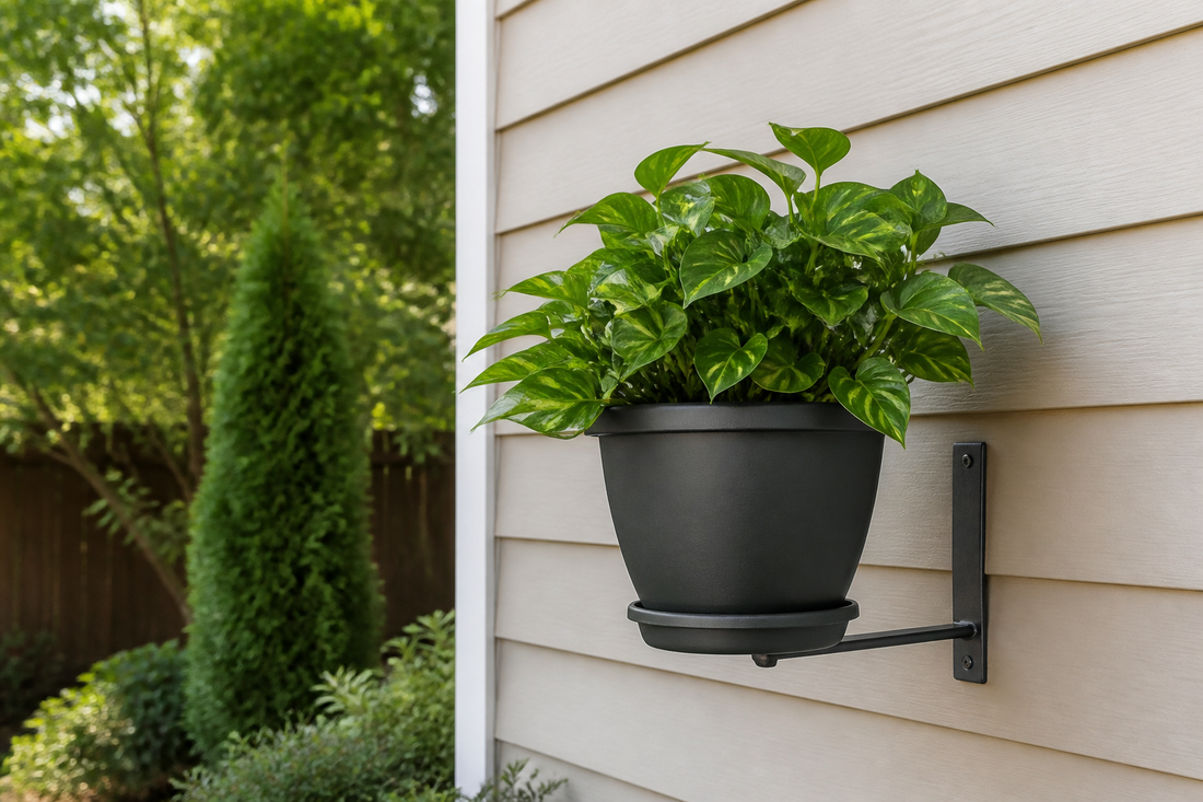 Wall-mounted planter installed on an exterior wall with space for drainage and inspection