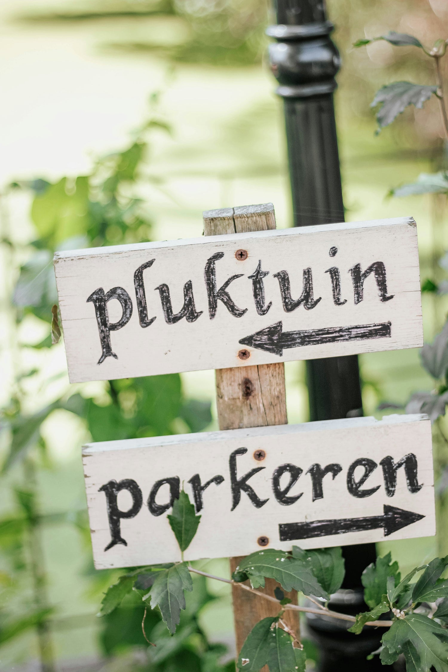 Garden Signs