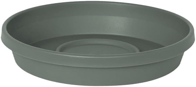 Bloem Terra Resin Saucer Tray: 4.75" Bottom Width - Basil Green - Matte, Durable, Ribbed Bottom, Indoor and Outdoor, Fits 6" Terra Pots