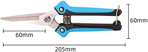 Garden Scissors, Pruning Shears with Straight Blades, Florist Scissors, Multi-Tasking Garden Snips for Arranging Flowers, Trimming Plants and Harvesting Herbs, Fruits or Vegetables (Blue)