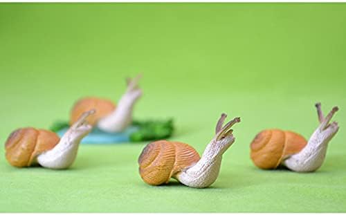 Acxico 5Pcs Cute Small Snail Lifelike Fairy Garden Terrarium Decor Figurine Animal Toys