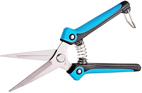 Garden Scissors, Pruning Shears with Straight Blades, Florist Scissors, Multi-Tasking Garden Snips for Arranging Flowers, Trimming Plants and Harvesting Herbs, Fruits or Vegetables (Blue)