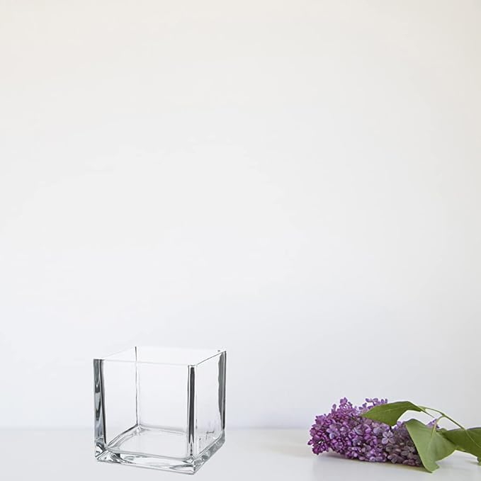 WGV Cube Glass Vase, Candle Holder, 5"x5"x5", Utility, Clear Elegant Floral Accent Container Planter Terrarium Storage for Wedding Party Ceremony Event Office Home Decor, 1 Piece