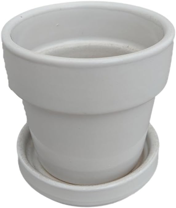 Hirt's Gardens Mini Ceramic Pot + Saucer - 2 3/4" x 2 3/4"- White