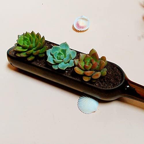 Wine Bottle Cutting pots, Succulent Planter,Flower Pot,Glass Candle Holder,Fruit Salad Tray Table Decoration Glass Art Crafts for Bar Cafe Restaurant(5PCS-Coffee)