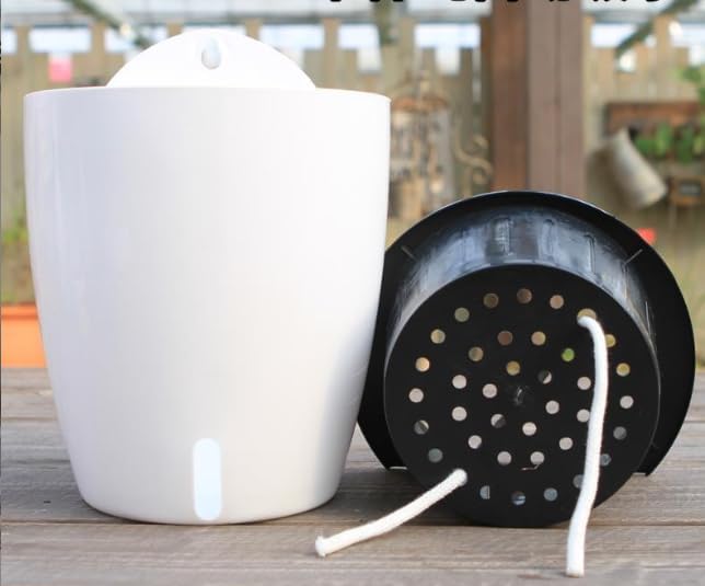 Visible Water Level Self Watering Planter,Hanging Planters,Wall Mounted Plants Holder,Small Flower pots Indoor Out Flowerpot with 3 Hooks Plastic Pots for Plants 3 Pack (White, 5.5inch)