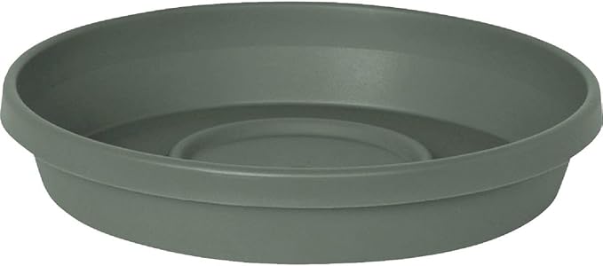 Bloem Terra Resin Saucer Tray: 9.25" Bottom Width - Basil Green - Matte, Durable, Ribbed Bottom, Indoor and Outdoor, Fits 12" Terra Pots