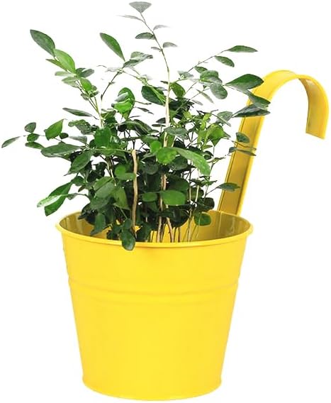 Vintage Hanging Cup Holders with Removable Hooks -5 Pack Metal Iron Buckets Hanging Flower Pots Wall Fence Hanging Planter-Storage Box, Drainage Holes -5''Diameter Vase Decoration (Yellow)