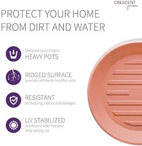 Crescent Garden Universal Round Planter Saucer, Durable Drainage Dish for Plant Pots, Heavy-Duty Plant Dishes Saucer, Indoor & Outdoor Plant Trays - Terracotta-Color (11 inch Inner, 15 inch Outer)
