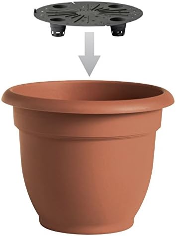 Bloem Ariana 10" Peppercorn Round Self-Watering Resin Planter Pot - Rolled Rim Indoor and Outdoor Gardening Planter