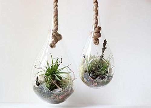 WGV Hanging Planter Terrarium, Width 5", Height 9.5", DIY Clear Glass Succulents Air Teardrop Floral Container (Including Rope), Candle Holder Vase for Outdoor Indoor Decor, 1 Piece