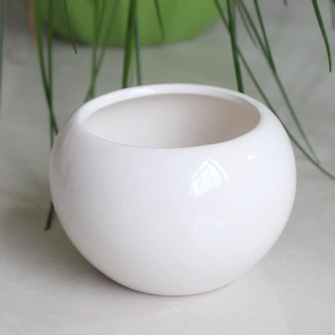 Angoily White Ceramic Plant Pots: Mini Pots Outdoor Garden Planters- Decorative Indoor Plant Pots- Garden Supplies Flowerpot Vase- Plants Succulent with Drainage Hole& Saucer