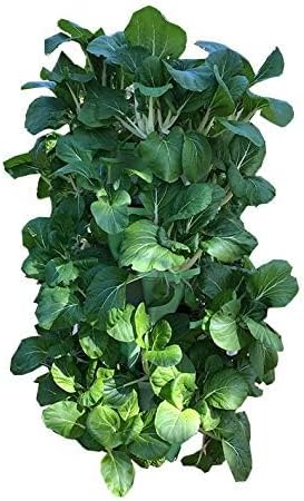 Vertical Garden System (Black)