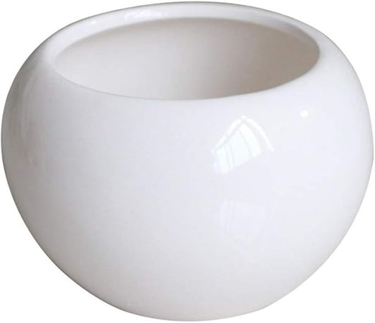 Angoily White Ceramic Plant Pots: Mini Pots Outdoor Garden Planters- Decorative Indoor Plant Pots- Garden Supplies Flowerpot Vase- Plants Succulent with Drainage Hole& Saucer