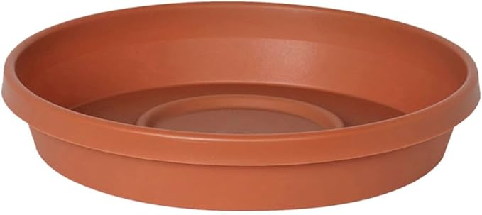Bloem Terra Resin Saucer Tray: 15" Bottom Width - Terra Cotta - Matte, Durable, Ribbed Bottom, Indoor and Outdoor, Fits 20" Terra Pots