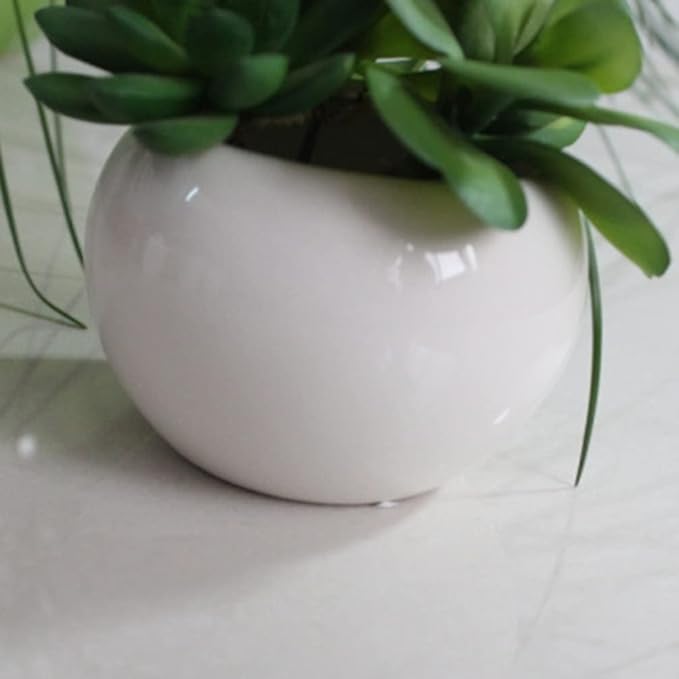 Angoily White Ceramic Plant Pots: Mini Pots Outdoor Garden Planters- Decorative Indoor Plant Pots- Garden Supplies Flowerpot Vase- Plants Succulent with Drainage Hole& Saucer