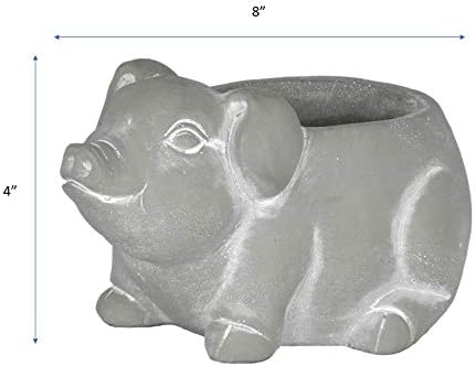 Classic Home and Garden Cement Buddies Animal Planter - Cute Desk Decoration - UV Coated Animal Vase w/Drain Plug -Succulent Plant Pot for Indoor/Outdoor Use (Pig Planter, Natural, Large)