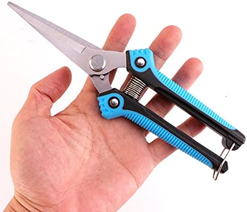 Garden Scissors, Pruning Shears with Straight Blades, Florist Scissors, Multi-Tasking Garden Snips for Arranging Flowers, Trimming Plants and Harvesting Herbs, Fruits or Vegetables (Blue)