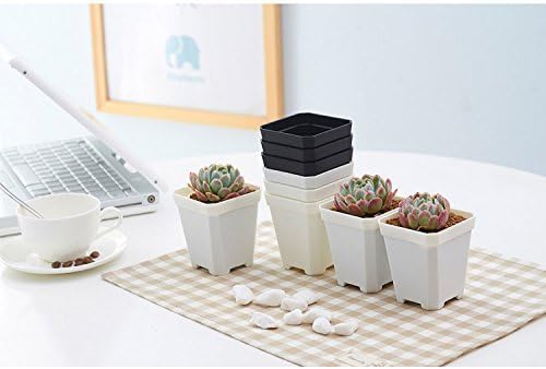 14pcs Colorful Square Plastic Plant Pot, Planter, Flower Pot with Pallet Tray Saucer for Decoration of Home Office Desk Garden Flower Shop