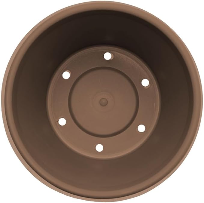 Bloem Terra Pot Planter: 12" - Chocolate Brown - Durable Resin Pot, for Indoor and Outdoor Use, Gardening, 3.5 Gallon Capacity, Saucer Sold Separately