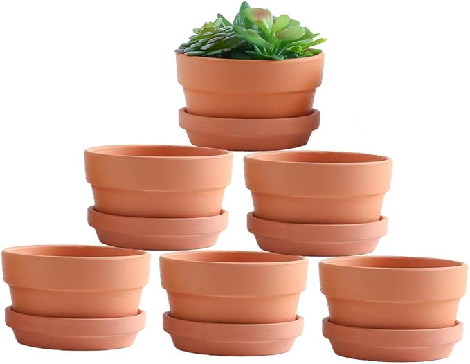 Yishang 5 Inch Shallow Terracotta Clay pots with Drain Hole,Ceramic Plant pots for Indoor/Outdoor Plants,Unglazed Bonsai Planter with Saucer/Tray for Cacuts/Succulent Plants