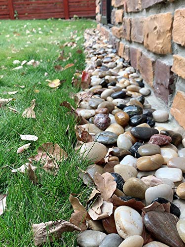 20 lbs River Rocks for Outdoor Landscaping, 2-3 inch Large Pebbles for Indoor Plants. Polished Decorative Stones for Garden, Aquarium, Vase Fillers and Backyard