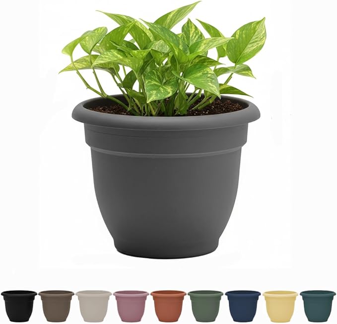 Bloem Ariana 6" Charcoal Round Self-Watering Resin Planter Pot - Rolled Rim Indoor and Outdoor Gardening Planter