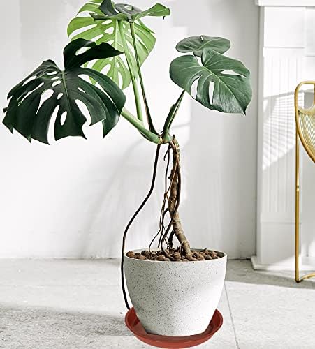 6 Pack of 12 inch Plant Saucer, Plastic Plant Saucer 12", Plant Saucers for Indoors, Plant Water Tray, Plant Trays for Pots, Planter Tray, Plant Saucers for Planter 11-13" (12", Terracotta)