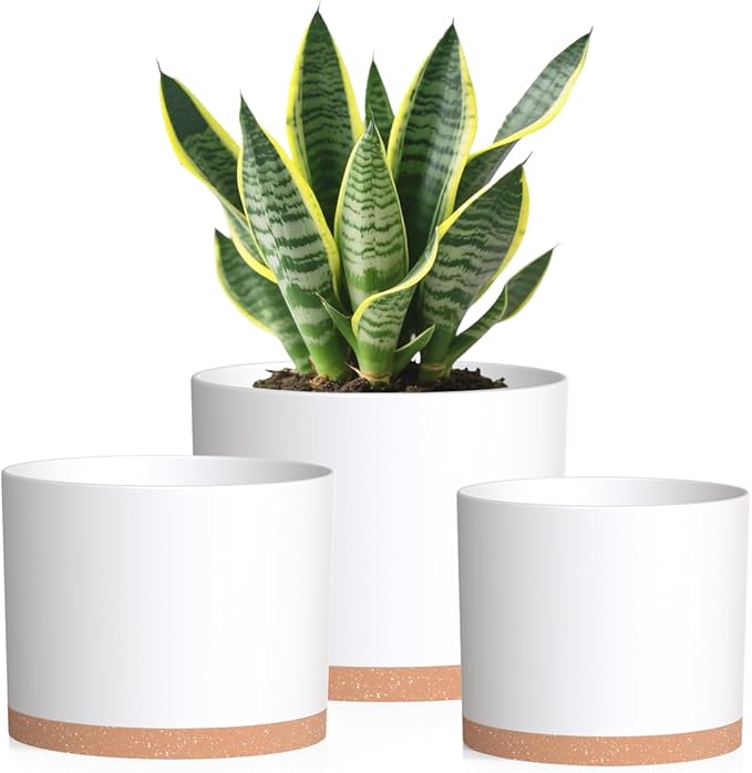 Large Plant Pots Set of 3 – 8", 9", 10" Indoor Flower Pots with Drainage Holes and Saucers, Big Planters for Monstera, Fiddle Leaf Fig, Snake Plant – 5 Colors