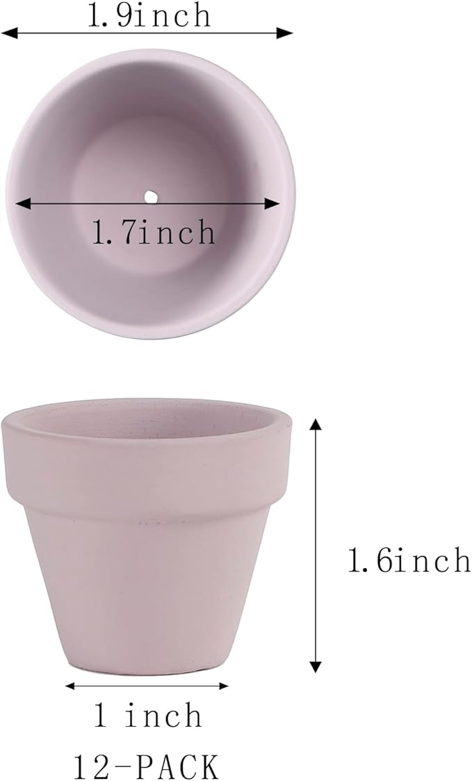 Fcacti Mini Pink Terracotta Clay Flower Pots 2 inch with Drainage Holes for for Tiny Cactus Herb lithop, Small Succulent Planter Nursery Plant Pot