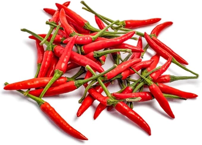 2026 EarlyBird-Hot Pepper Seeds for Planting,Non-GMO Heirloom Seed Vegetable Seeds,Asian Chile Pepper Seed for Home Vegetable Garden & Hydronic Pods,泰国小米椒(50ct Thai Bird)