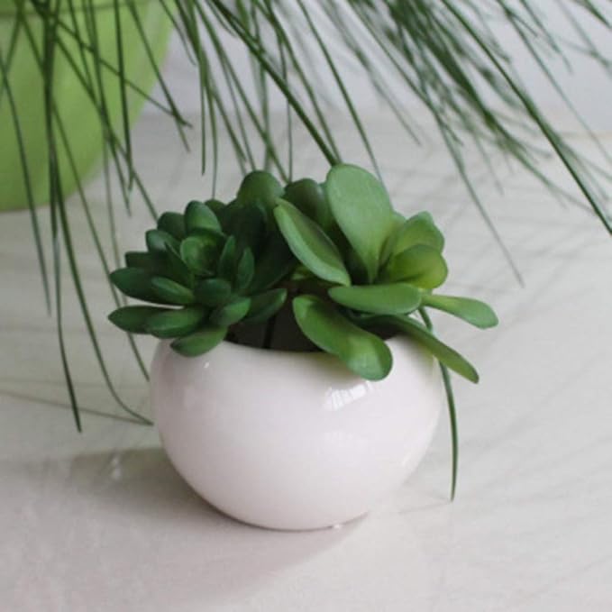 Angoily White Ceramic Plant Pots: Mini Pots Outdoor Garden Planters- Decorative Indoor Plant Pots- Garden Supplies Flowerpot Vase- Plants Succulent with Drainage Hole& Saucer