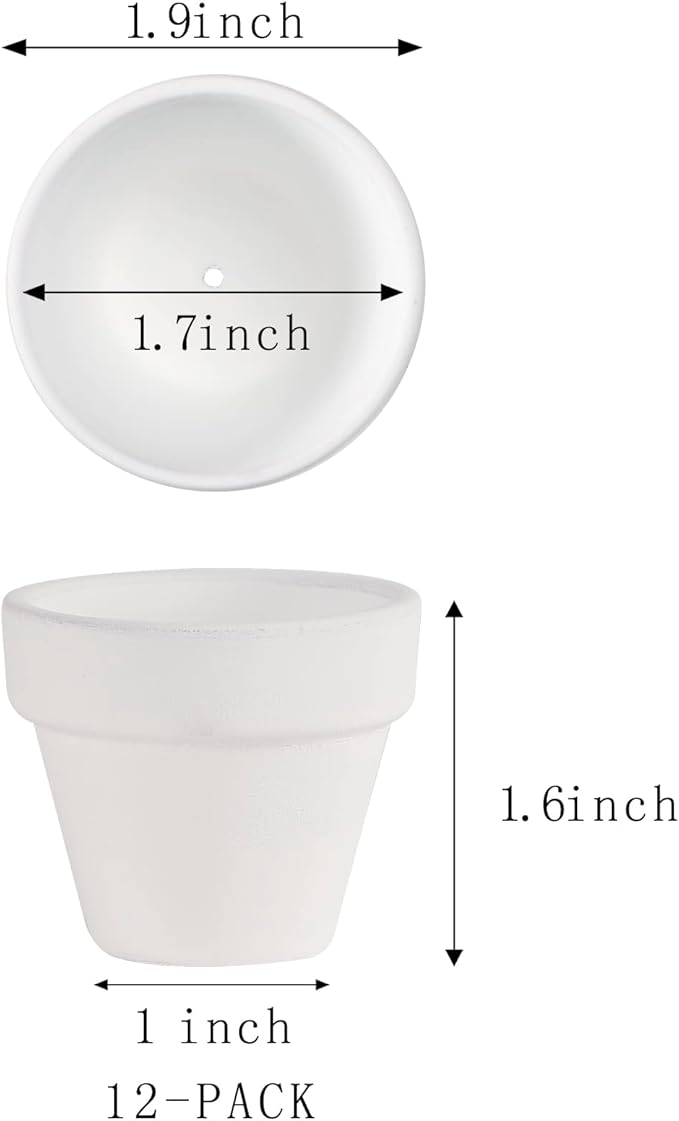 Mini White Terracotta Clay Flower Pots 2 inch with Drainage Holes for for Tiny Cactus Herb lithop, Small Succulent Planter Nursery Plant Pot for Home Garden Table DIY Hand Craft Gift Decoration