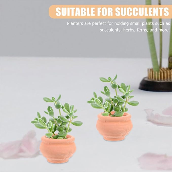 Zerodeko Mini Terracotta Pots 1.5 Inch 6 Pack Tiny Red Ceramic Planters for Succulents Indoor Outdoor Garden Patio