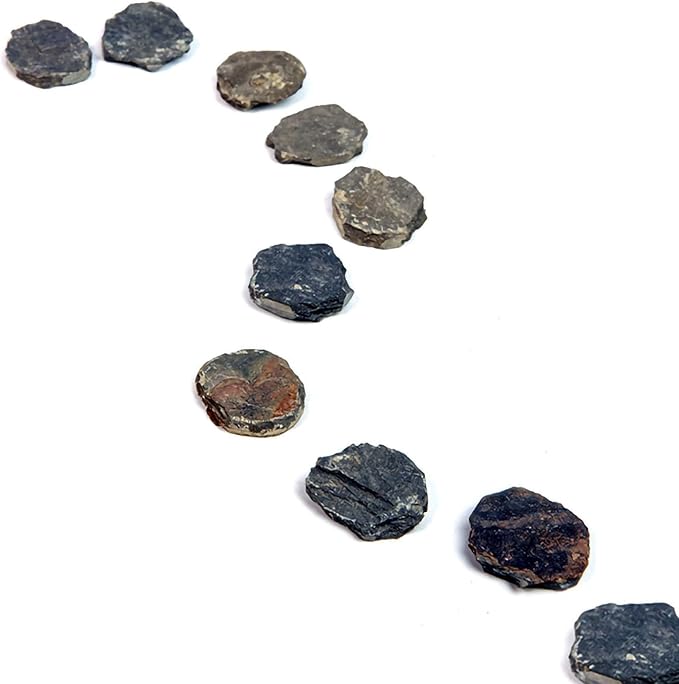 10Pcs Natural Miniature Small Stepping Stone Figure.Fairy Garden Supplies.Terrarium Accessories.Pathway Stones.Stairs.Shrimp Tank Decor.Bonsai Forest/Patio Pots Decoration.